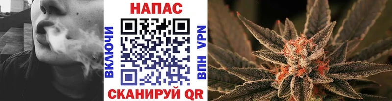 Бошки Шишки конопля  Беслан 